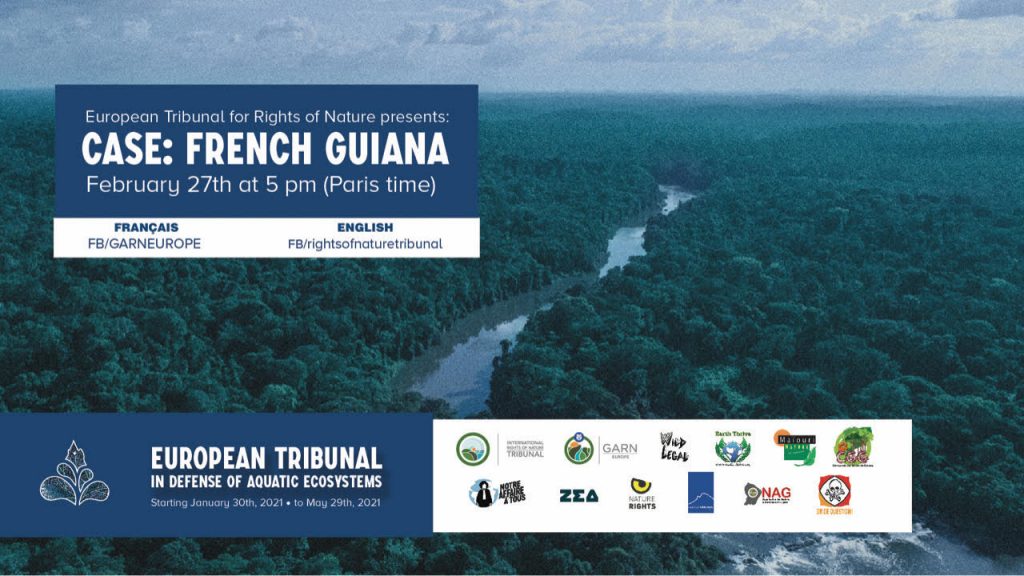 french guiana illegal gold mining rights of nature