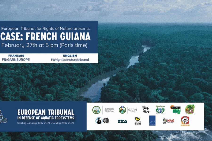 french guiana illegal gold mining rights of nature