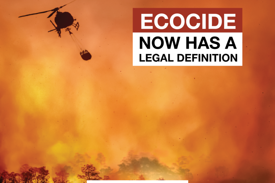 ecocide definition